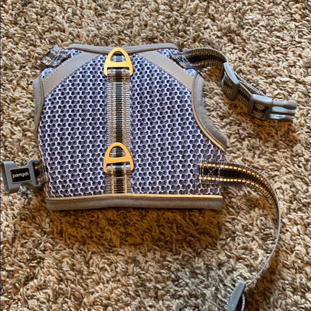 Cats Harness